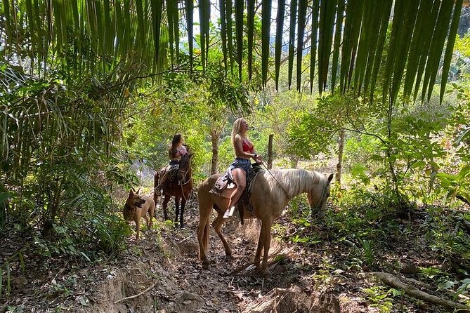 Jalisco Private Horseback Riding Tour  – Mismaloya