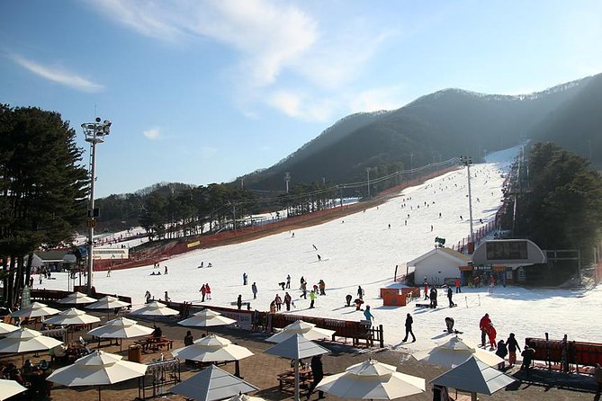 Jisan Ski Resort Serving Breakfast From Seoul (No Shopping) - Winter Fun at Jisan Ski Resort