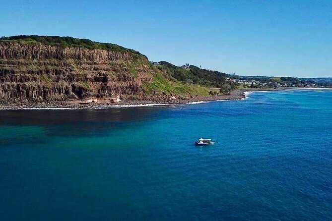 Julian Rocks Byron Bay: Coastal Discovery Cruise - The Importance of Marine Guides