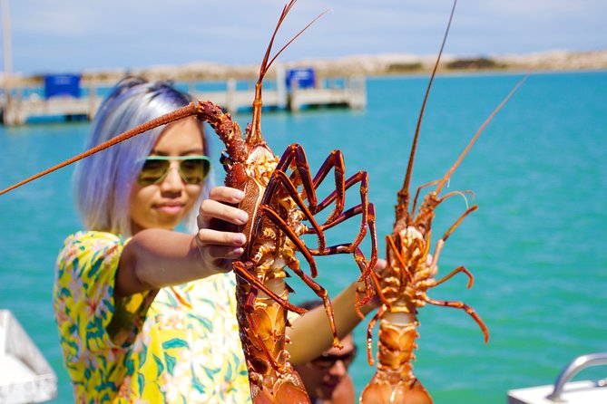 Kalbarri Rock Lobster Pot Pull Tour in Kalbarri - Tour Highlights and Experience