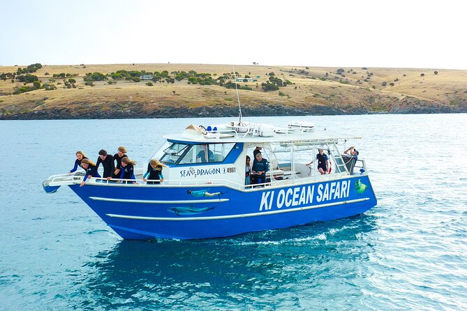 Kangaroo Island – Swim With Dolphins/Seals/Coastal Snorkel