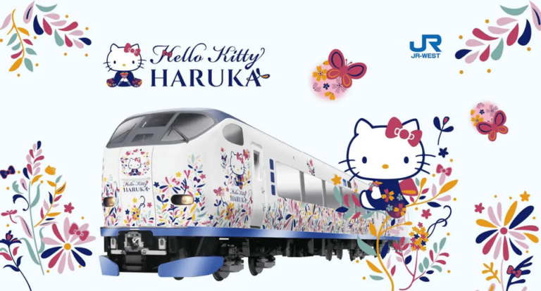 Kansai-Airport Express HARUKA One-way Ticket