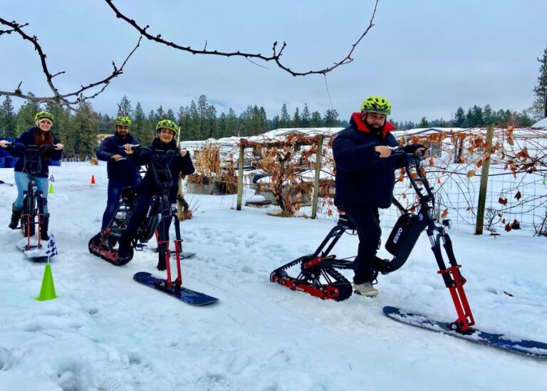 Kelowna: Snow E-Biking With Lunch, Wine Tastings & Smores