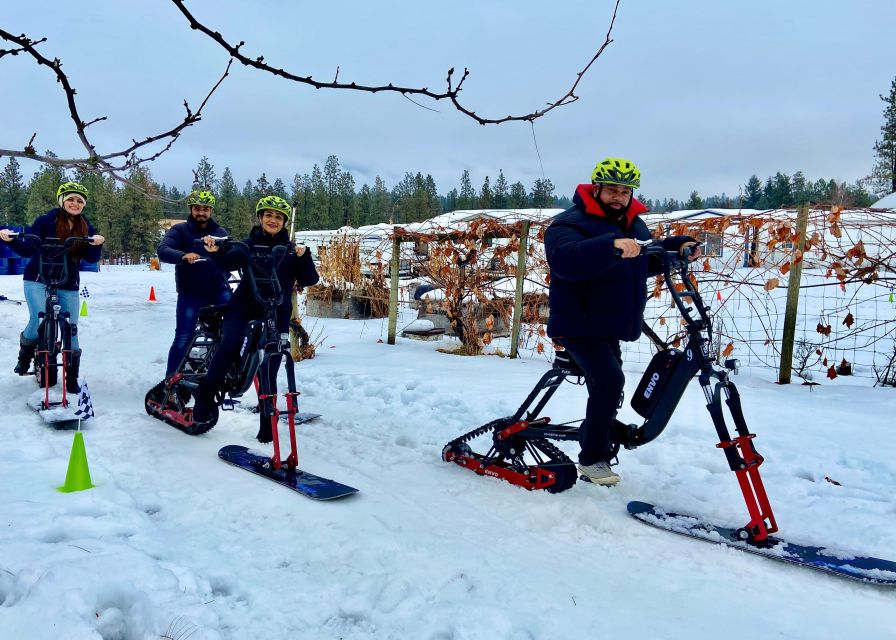 Kelowna: Snow E-Biking With Lunch, Wine Tastings & Smores - Experience the Thrill of Snow E-Biking