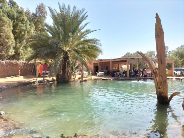 Ksar Ghilan (Oasis) One Day Tour : Starting From Djerba