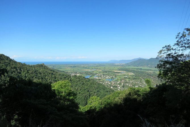 Kuranda Day Trip From Port Douglas by Bus