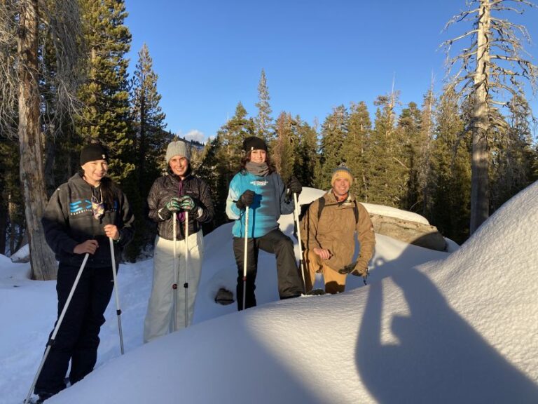 Lake Tahoe: Snowshoeing Guided Tour