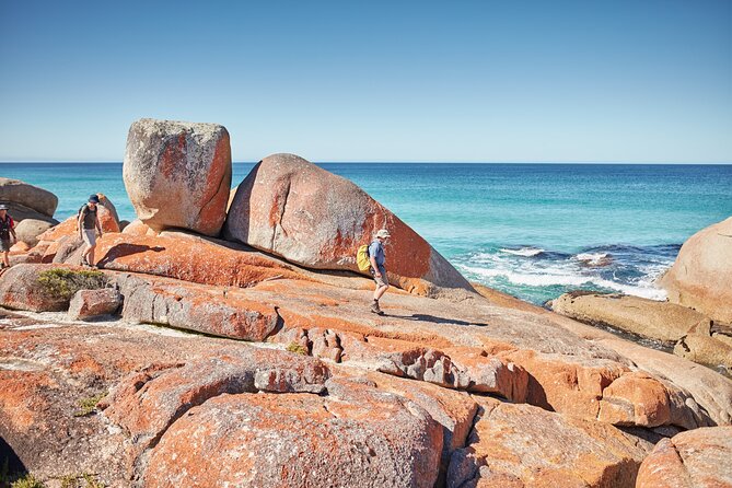 Larapuna / Bay of Fires Hiking Tour – 4 Days