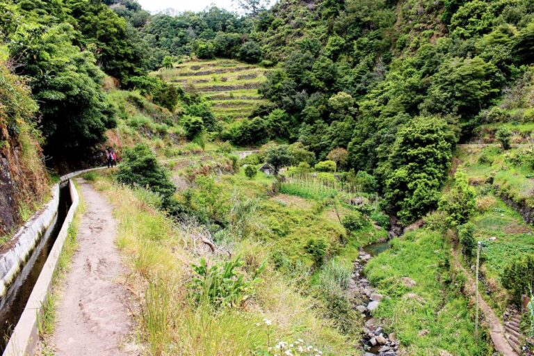 Madeira / Mimosa Valley – Levada Walk