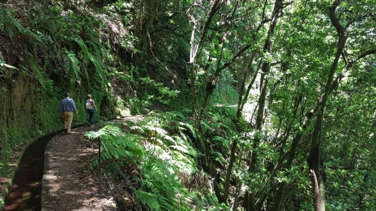 Madeira: Private Guided Levada Do Rei Walk PR18