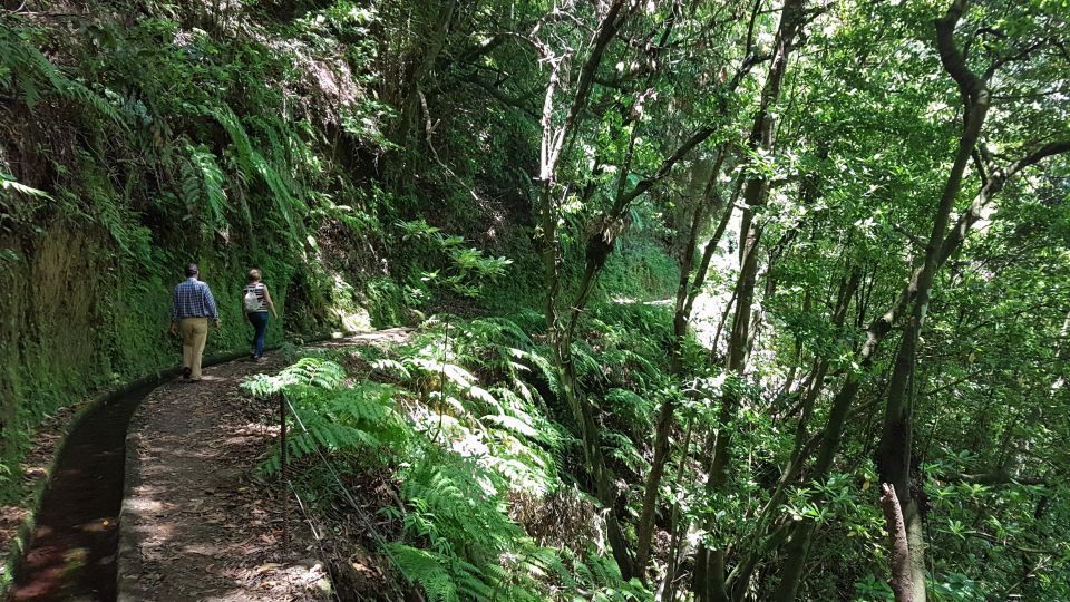 Madeira: Private Guided Levada Do Rei Walk PR18 - Tour Overview