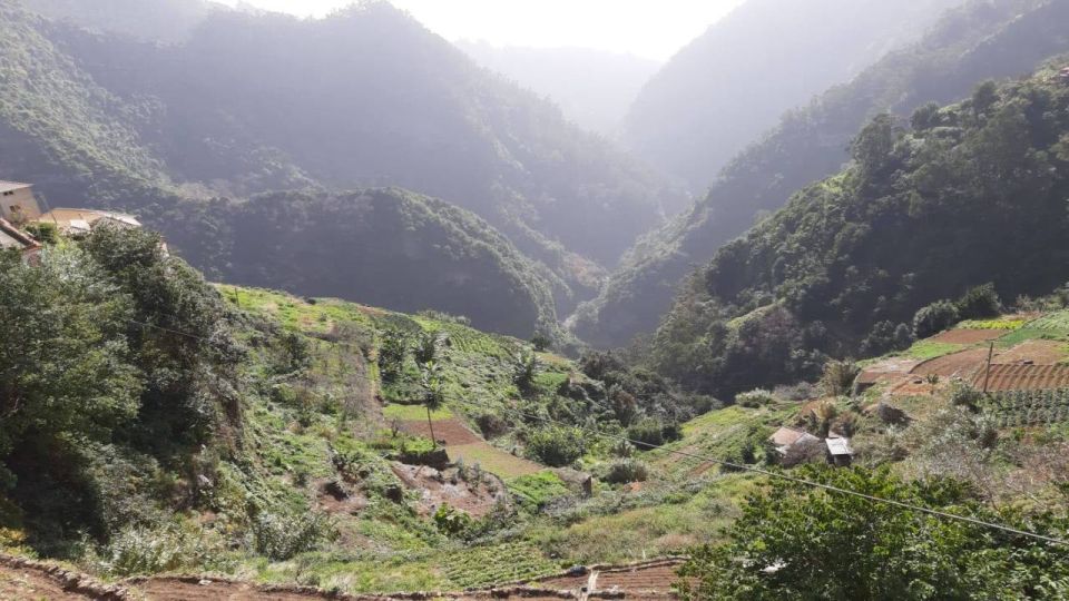 Madeira: Private Half-Day Jardim Da Serra Tour - Tour Details