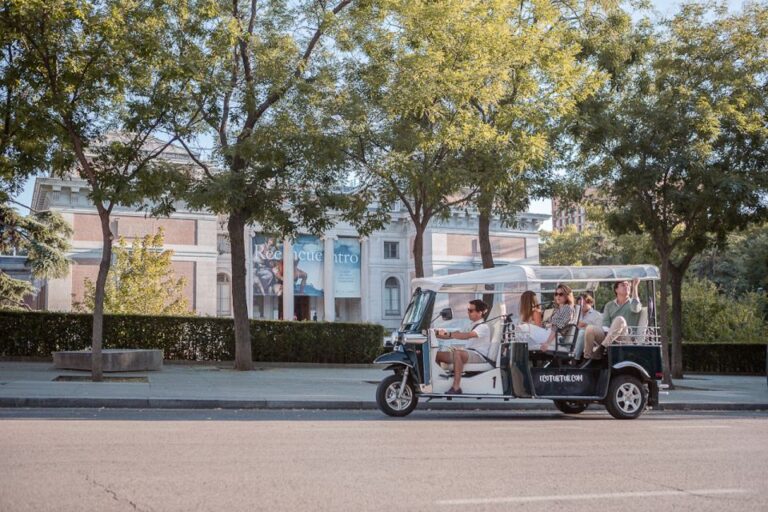 Madrid: Private City Tour by Eco Tuk Tuk