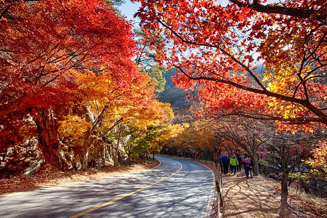 Magnificent Naejangsan National Park Autumn Foliage Tour From Seoul - Explore Naejangsan National Park