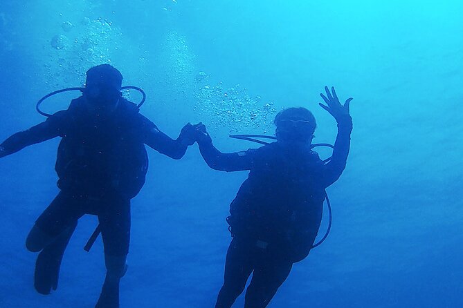 Mahahual Scuba Diving: 2-Tank Reef Dive  – Costa Maya