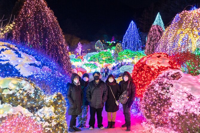 Make Your Trip Around Nami Island With an Expert(Dslr Option)