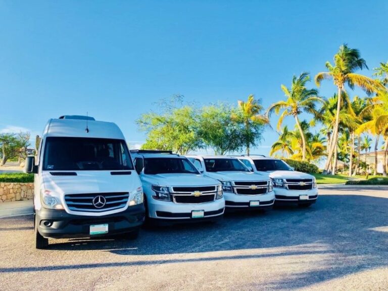 Mallorca Airport (PMI): Private Transfer to Palma Nova