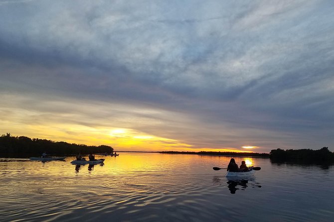 Mangrove Tunnel, Manatee and Dolphin Kayak Tour of Cocoa Beach