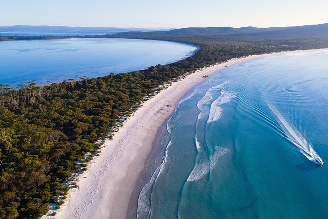 Maria Island Ferry Connection (Hobart to Triabunna Round Trip) - Meeting Point and Schedule