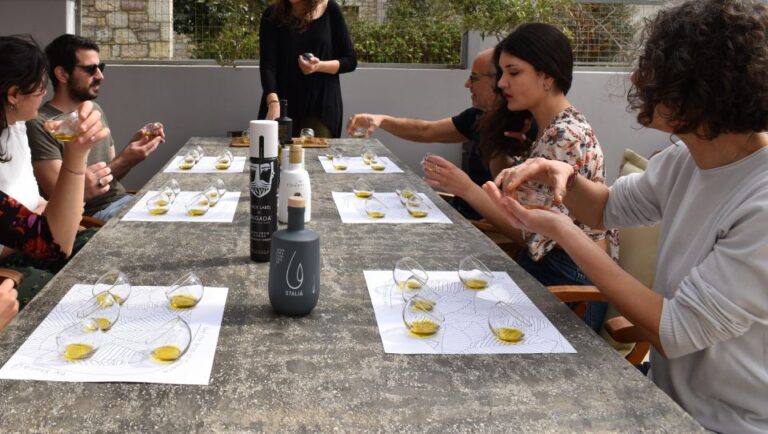 Messenia: Olive Oil Experience 2 -Tour and Food Pairing