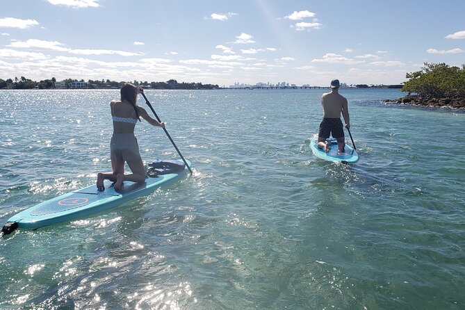 Miami: Kayak or SUP Island and Wildlife Tour - Tour Options