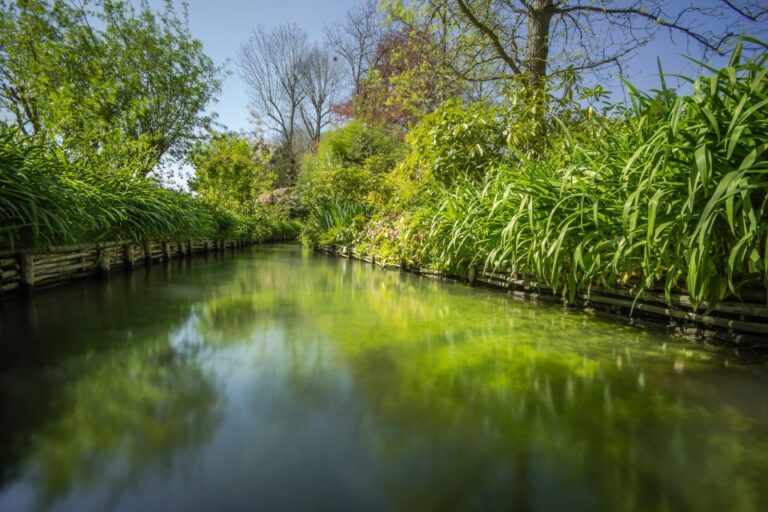 Monets Garden Bike Tour From Paris