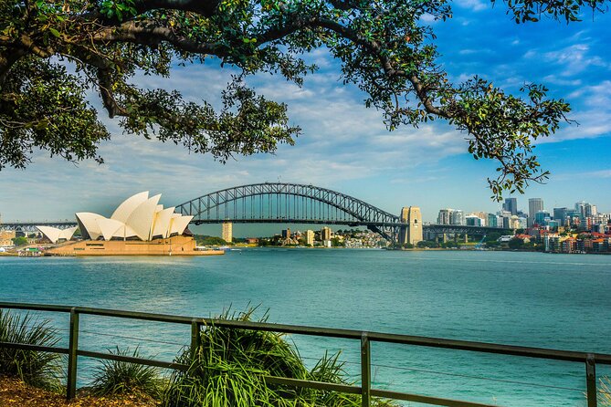 Morning or Afternoon Half-Day Sydney City Sightseeing Tour - Tour Highlights and Overview