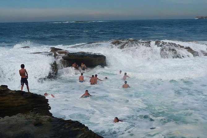 Morning or Afternoon Highlights Tour in Sydney With a Local Guide - Tour Overview and Inclusions