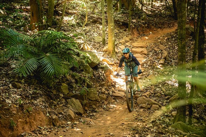 Mountain Bike Tour - Cairns - Mountain Bike Tour Overview