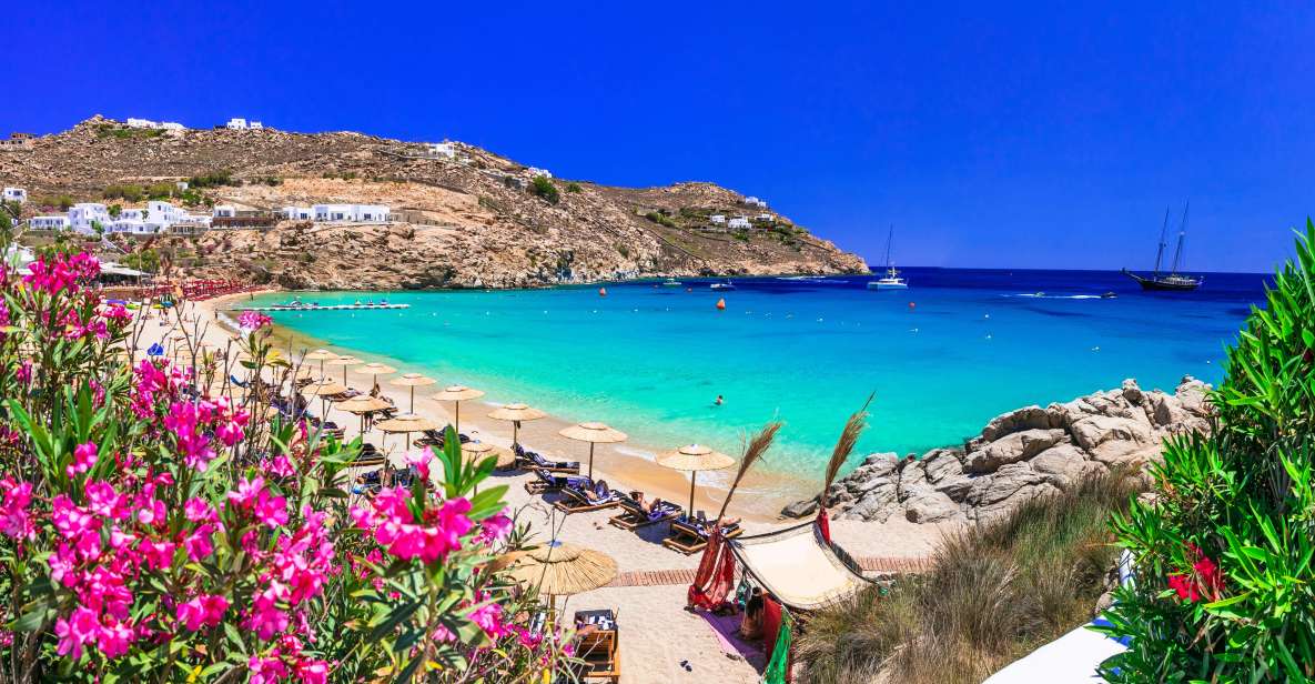 Mykonos Delight: a Perfect Day Trip From Your Cruise Ship - Tour Details