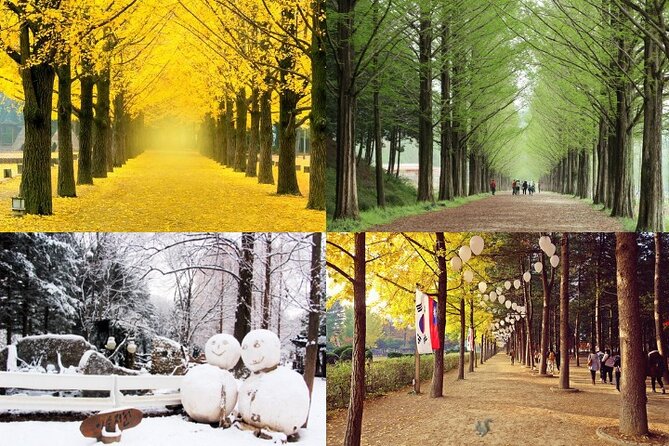 Nami Island & Petite France With Italian Village One-Day Tour - Tour Highlights and Features