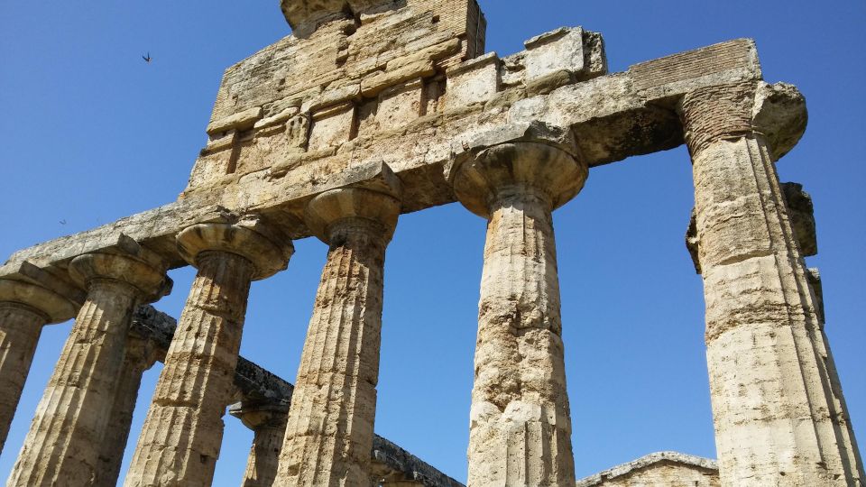 Naples: Go to Paestum by Car and Visit the Temples - Tour Details