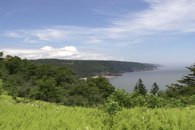 New Brunswick Shore Excursion: Bay of Fundy and More Highlights Tour