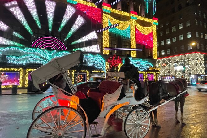 New York City Christmas Lights Private Horse Carriage Ride - Experience Details