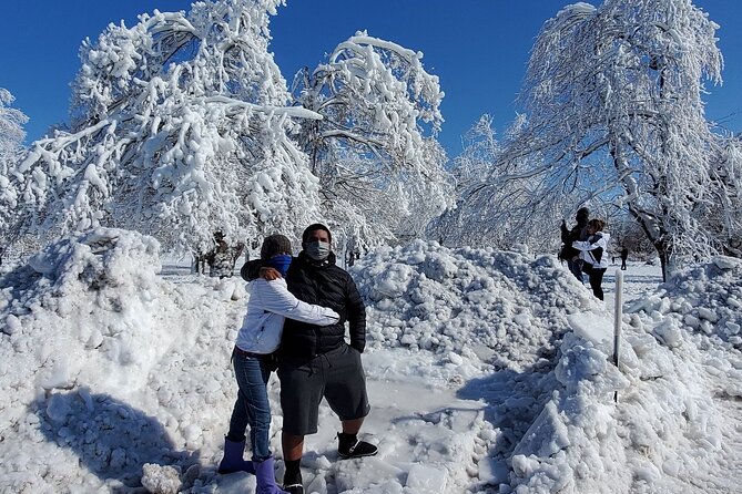 Niagara Falls Off-Season Small-Group Winter Sightseeing Tour