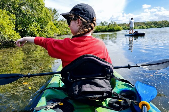 Noosa Everglade Kayak -South/Noosa End – Searching for Stingrays!