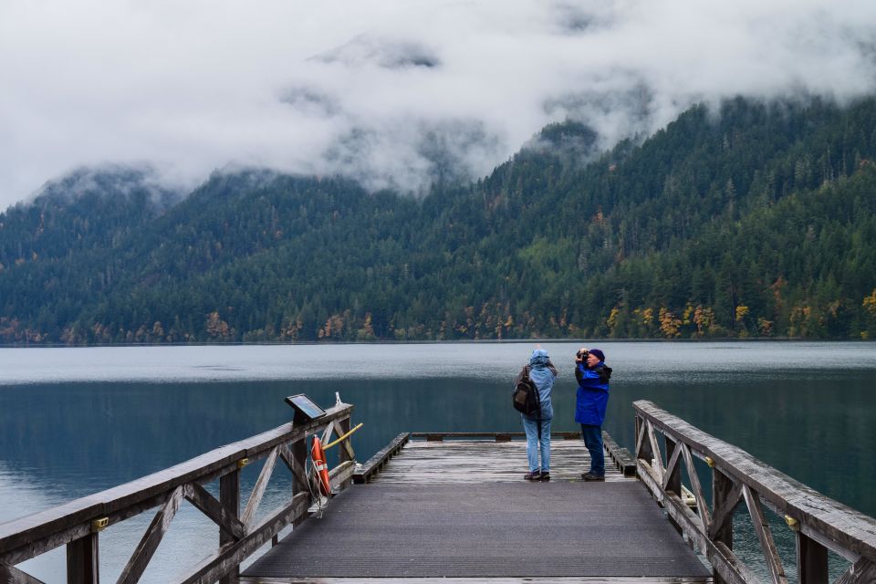 Olympic National Park: Sol Duc and Hurricane Ridge Tour - Experience Highlights