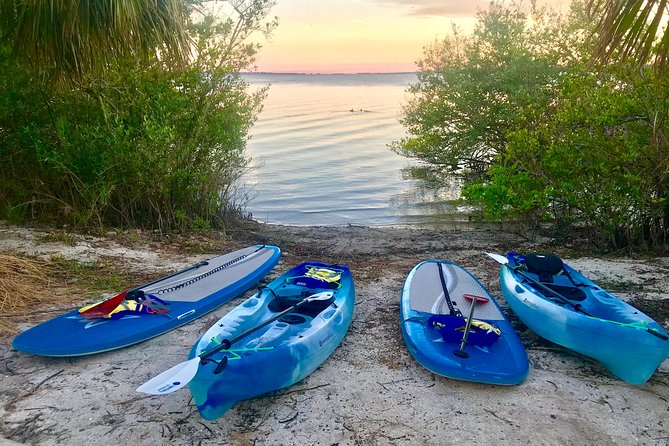 Paddle Board or Kayak Eco Dolphin Manatee Tour - Expert Guidance