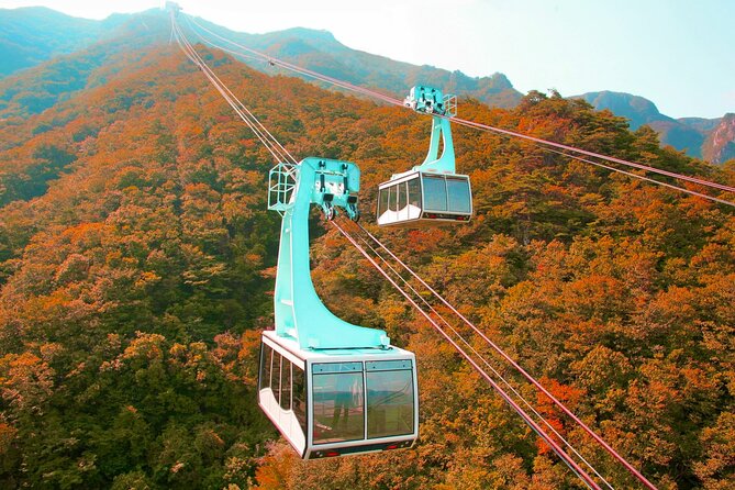 Panoramic Yeongnam Alps Gondola Autumn Foliage Tour From Busan - Tour Overview and Inclusions