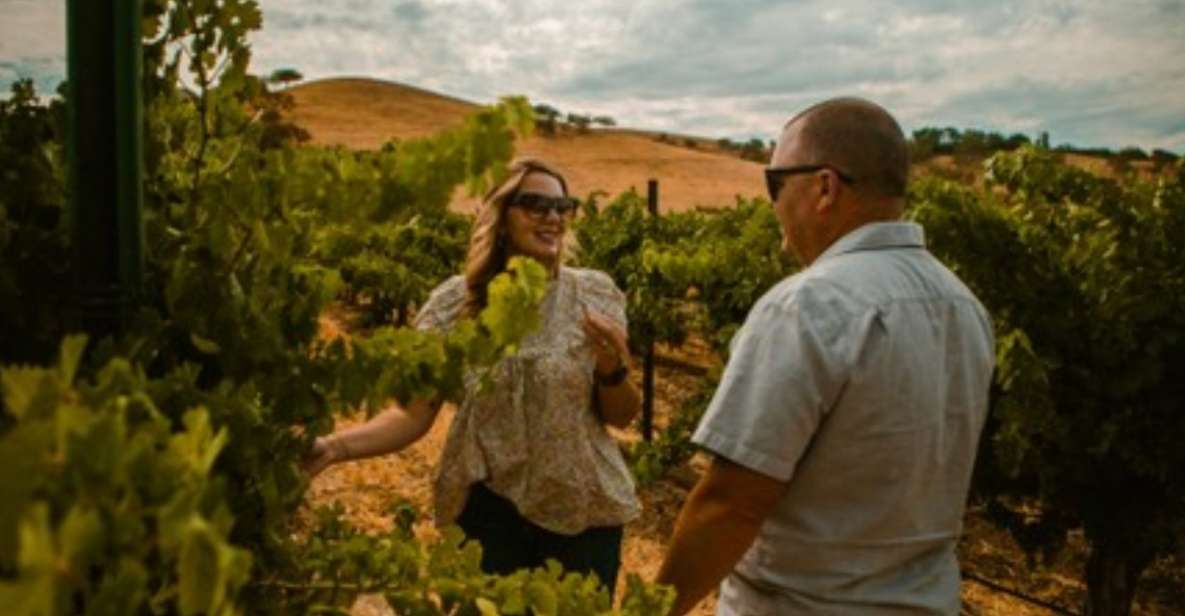 Paso Robles: Sidecar Premier Wine Tour With Tastings - Tour Overview