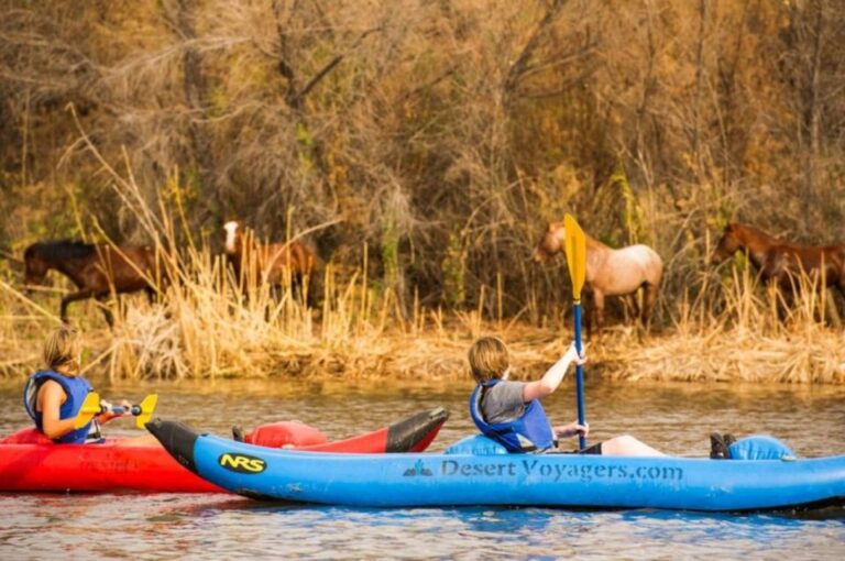 Phoenix & Scottsdale: Lower Salt River Kayaking Tour