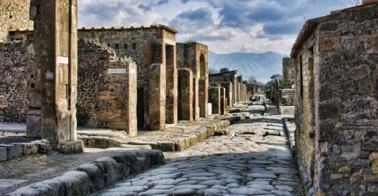 Pompeii and Herculaneum Private Day Tour From Rome