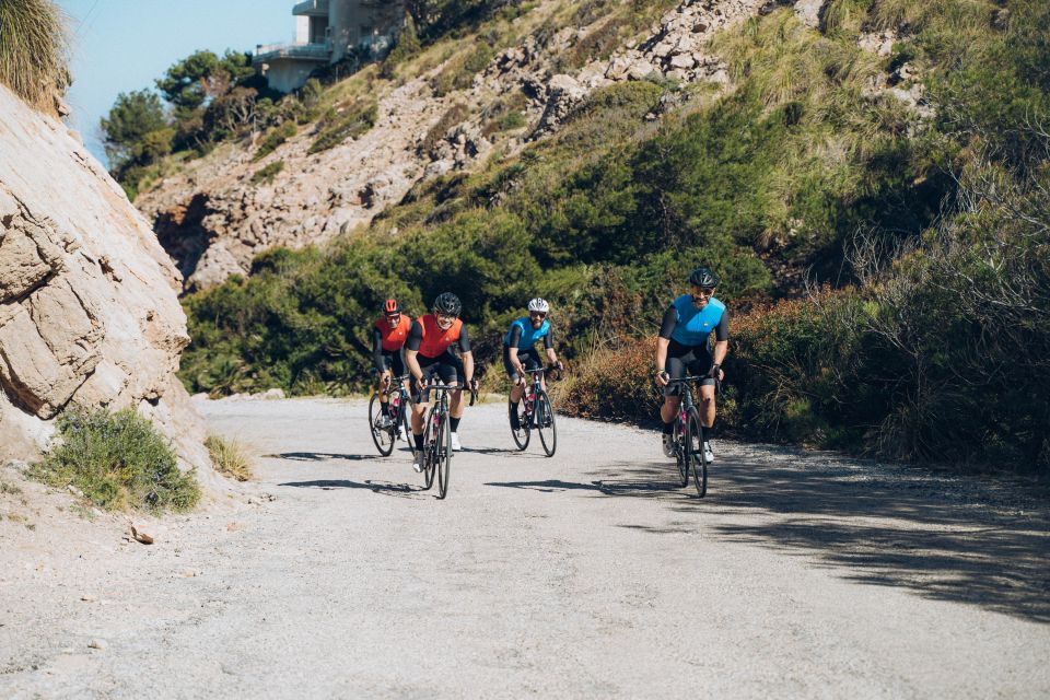 Port De Pollença: Ultimate Bike Rental - Bike Rental Options