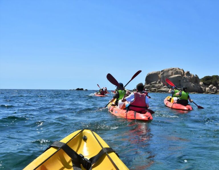 Porticcio: Guiding Kayaking Tour