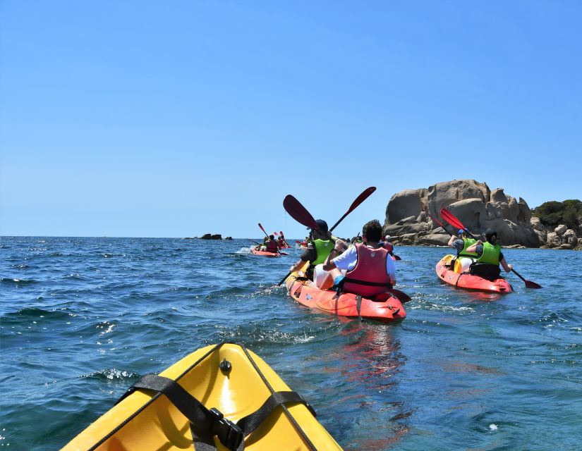 Porticcio: Guiding Kayaking Tour - Tour Overview and Pricing