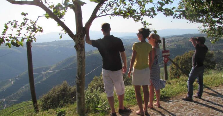 Porto: 3 Douro Valley Vineyards Tour With Lunch