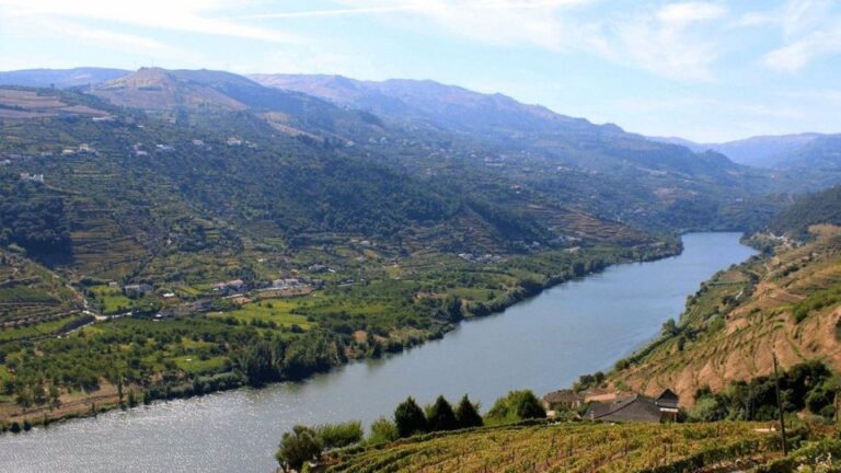 Porto: Douro Valley Private Full-Day Tour