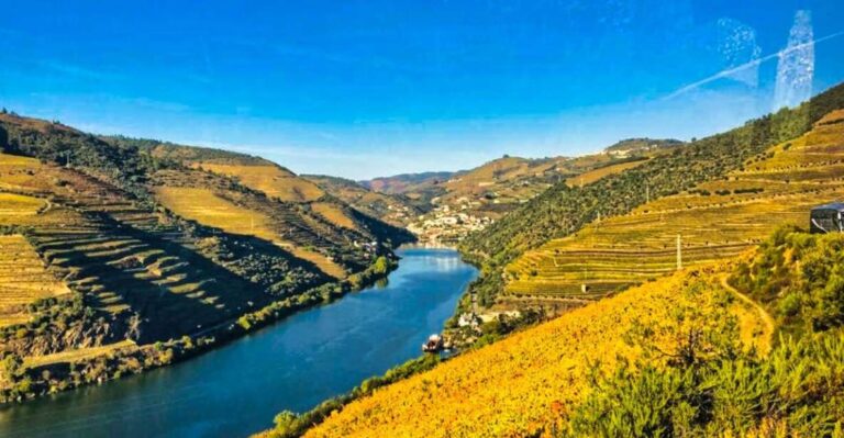 Porto: Douro Valley Tour With 3 Wineries & Lunch