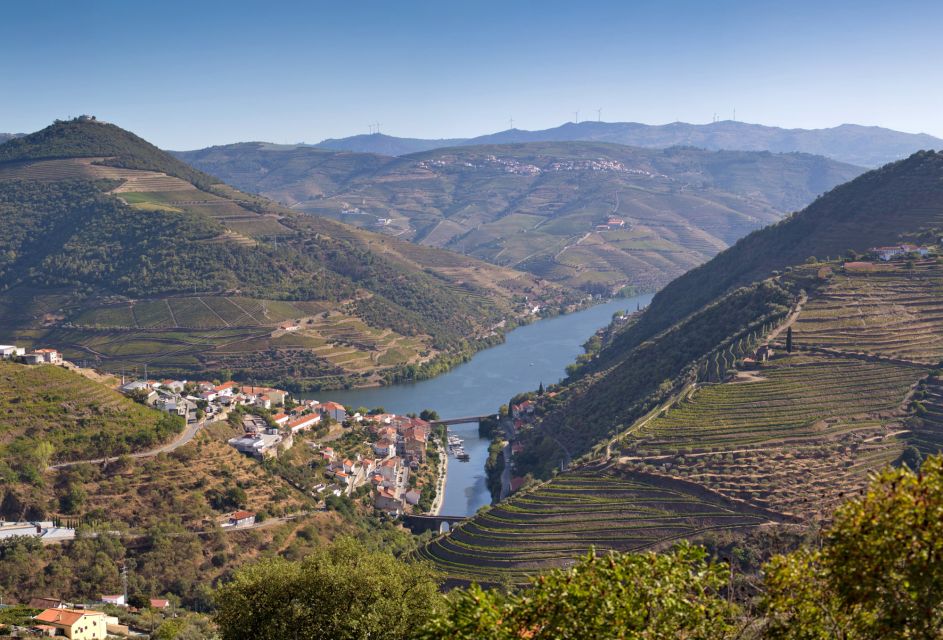 Portugal: Premium Bike Tour Atlantic Coast to Douro Valley - Tour Overview