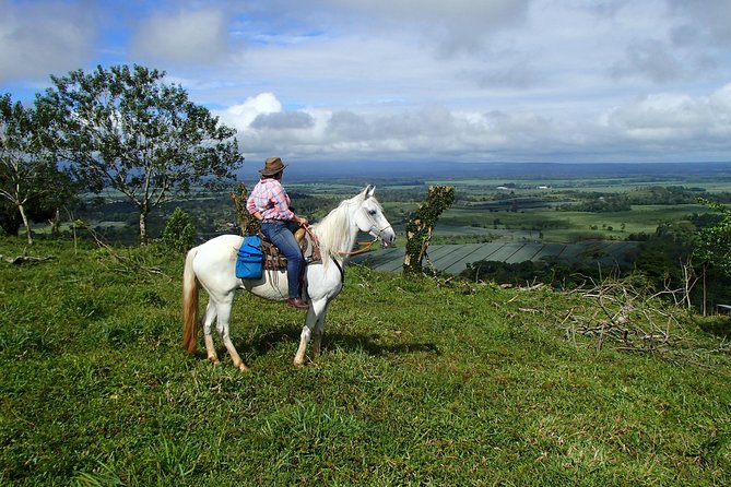 Private and Customized Horseback Riding Adventures